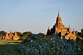 Old Bagan Myanmar. Group of monuments on the NW corner of the old city. 